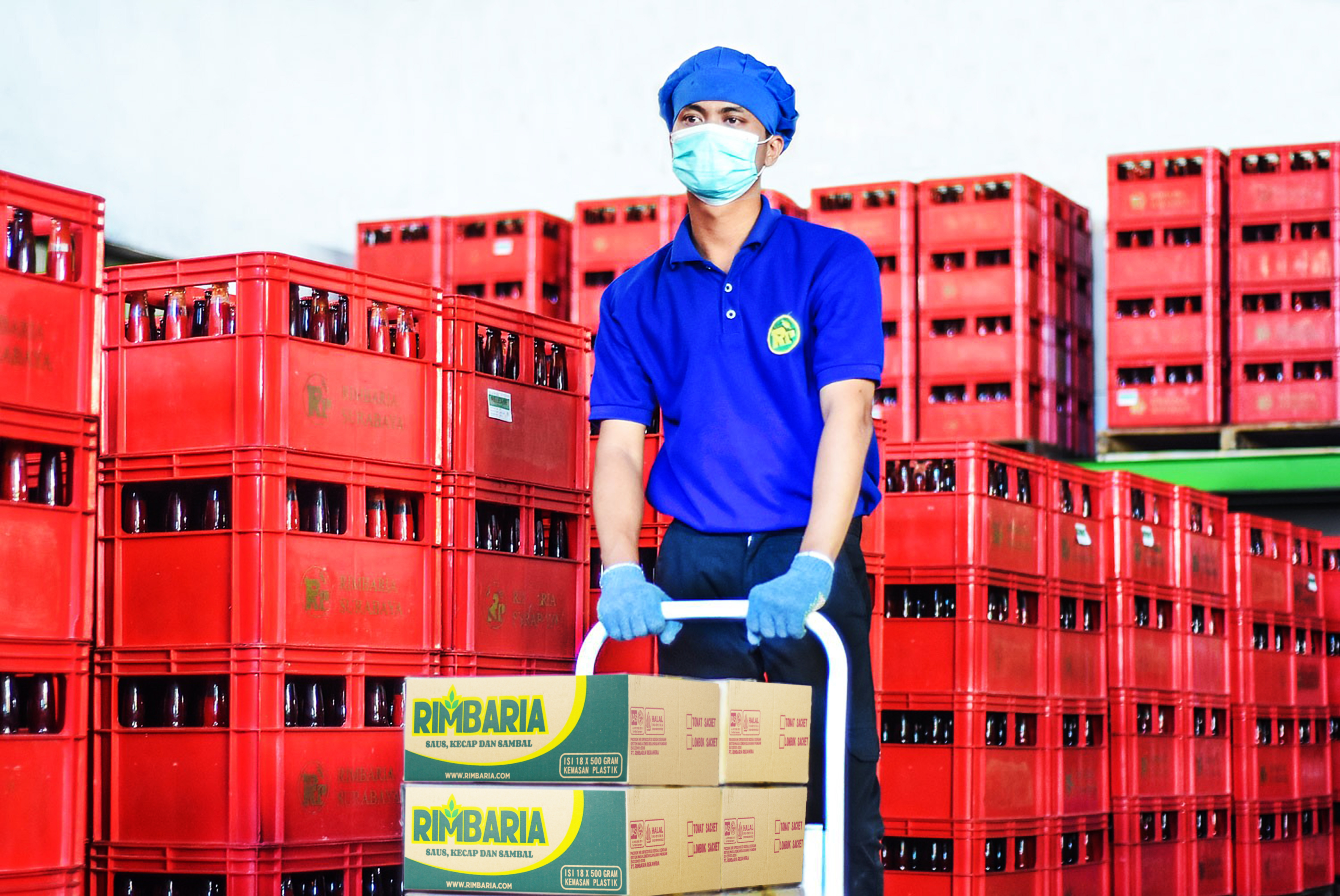 Jeruk Nipis Rimbaria